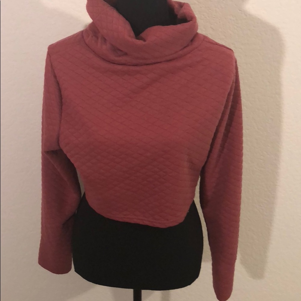 Crop turtle neck